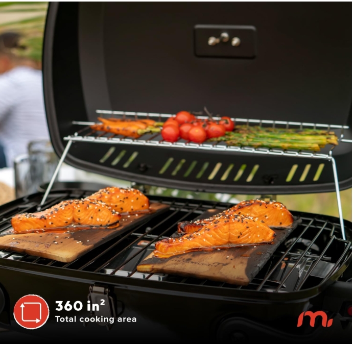 Grill 2