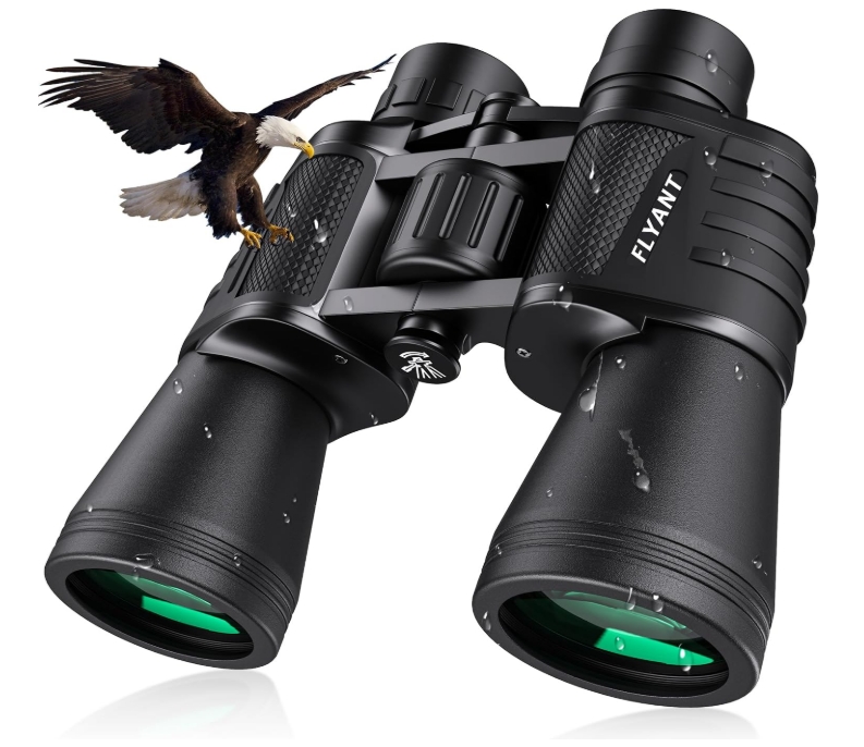 b 1