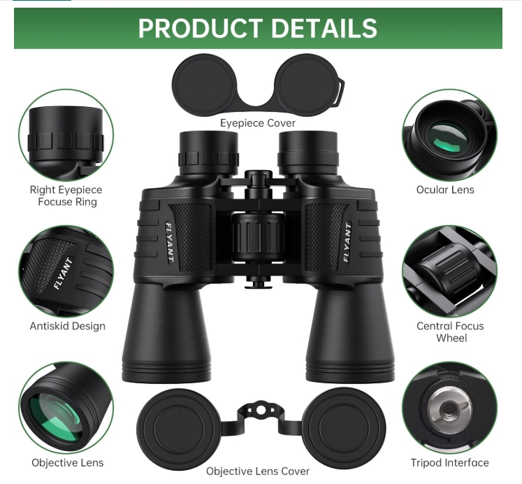 b 2