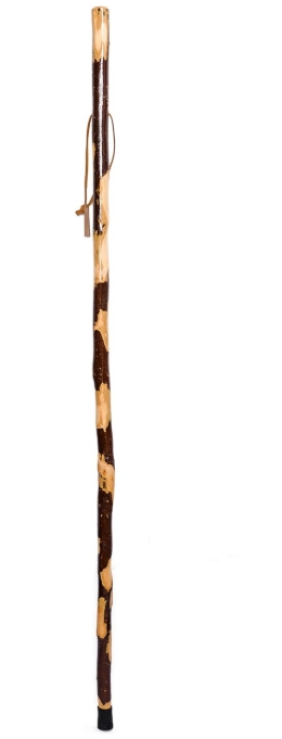 Walking stick